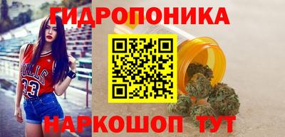 стаф Пенза