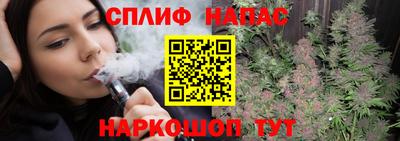 крисы Партизанск