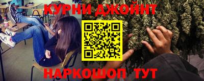 крисы Партизанск