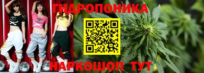крисы Партизанск