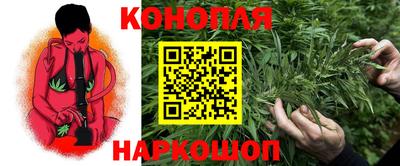 крисы Партизанск