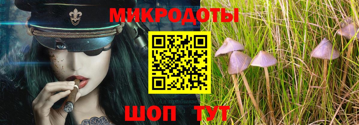 Галлюциногенные грибы мухоморы  Вход с VPN  Сланцы 