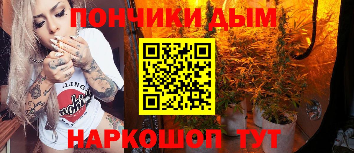 Конопля планчик Сланцы
